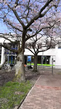 Huisartsenpraktijk Molenwijk