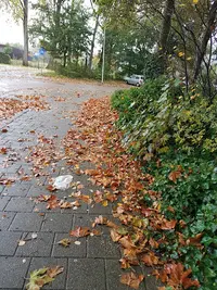 Huisartsenmaatschap Van Oosterom & Brooijmans