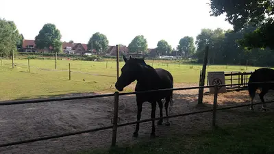 Stroomz Tongelre