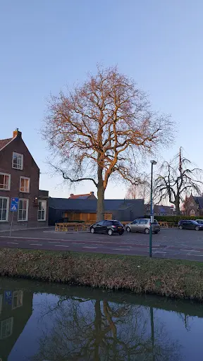 Huisartsenpraktijk Schalkwyk