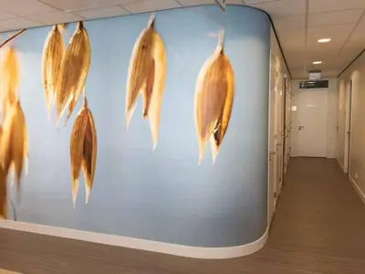 Huisartsenpraktijk Van der Krabben, Roek, Wagenvoort.